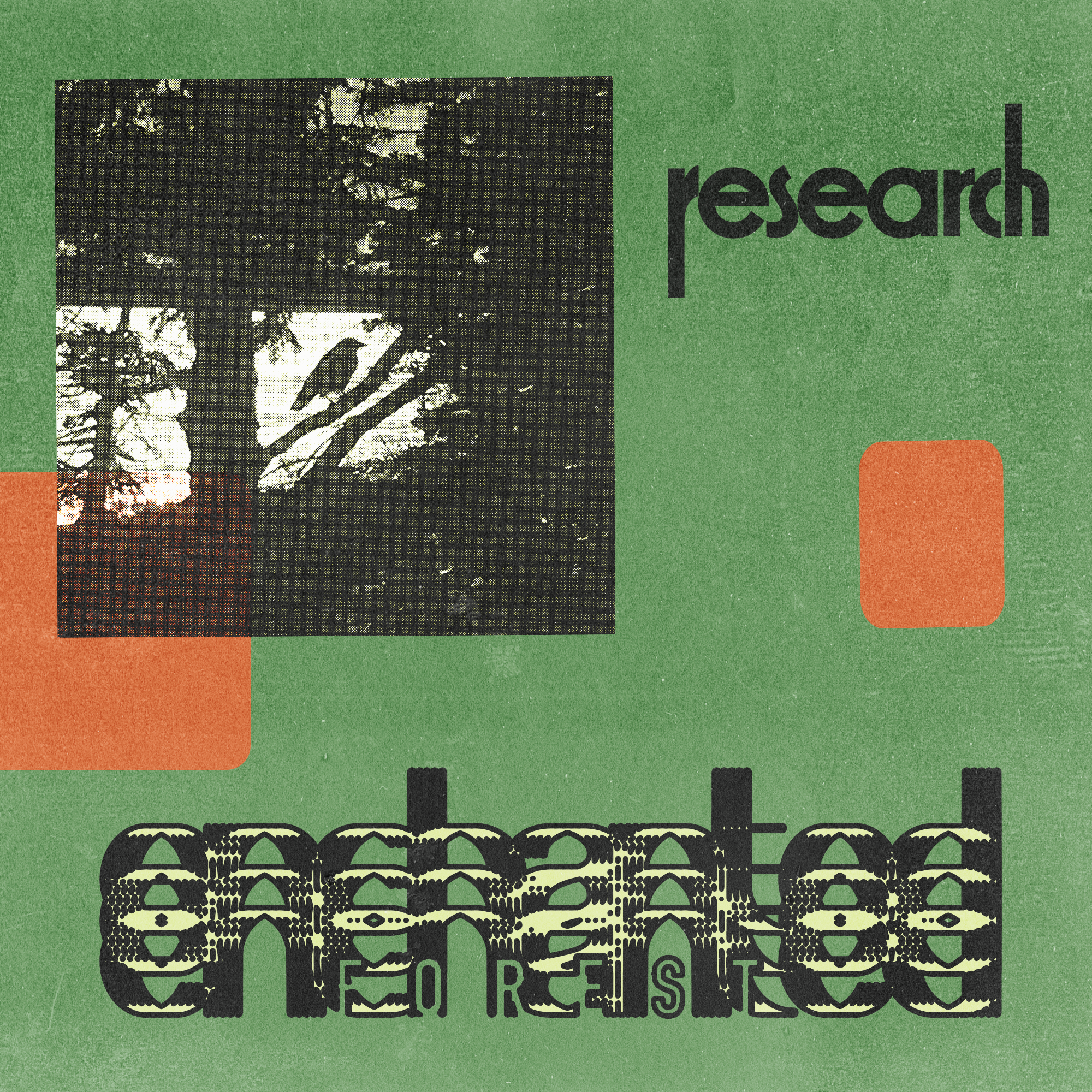 Album Art, Enchanted Forest Research, 2021